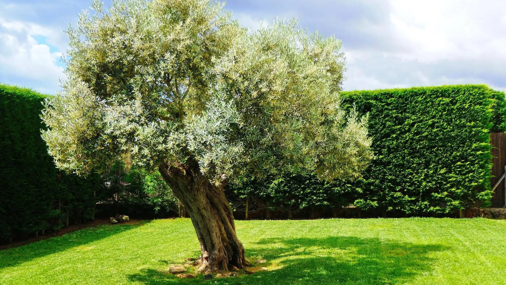 New, Premium Finca Mit Starlight-Pool! South-East Coast, Cala D Or S'Horta